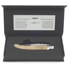 Load image into Gallery viewer, Laguiole 4-1/2&quot; Steak Folding Knife – Varied Wood Handles